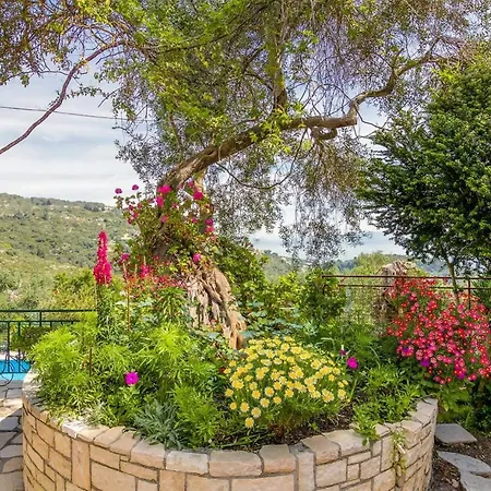 Melissa Paxos Villa *